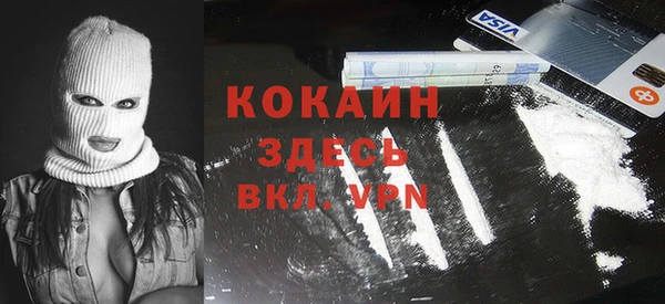 хмурый Алзамай