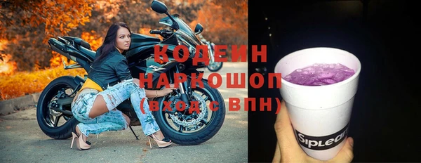 хмурый Алзамай