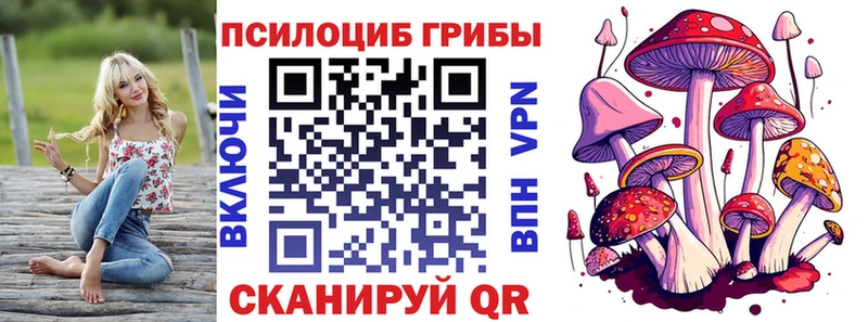 Псилоцибиновые грибы GOLDEN TEACHER Красноярск